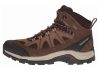 Salomon Authentic LTR GTX - Brown (L394668)