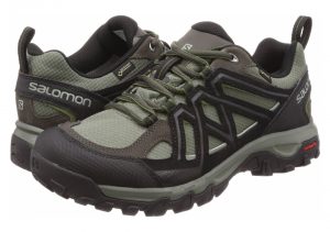 Salomon Evasion 2 GTX - Grey (L393586)
