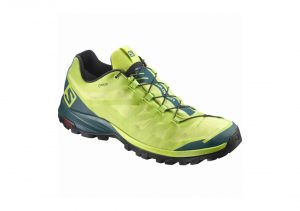 Salomon OUTpath GTX - Green Lime Punch Reflecting Pond Black 490 (L394490)