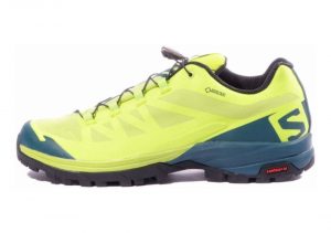 Salomon OUTpath GTX - Green Lime Punch Reflecting Pond Black 490 (L394490)