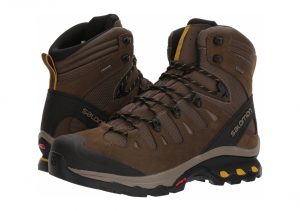 Salomon Quest 4D 3 GTX - Brown (L401518)