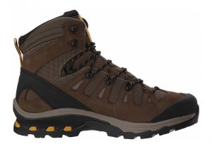 Salomon Quest 4D 3 GTX - Brown (L401518)