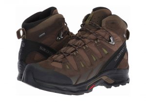 Salomon Quest Prime GTX - Brown (L404613)