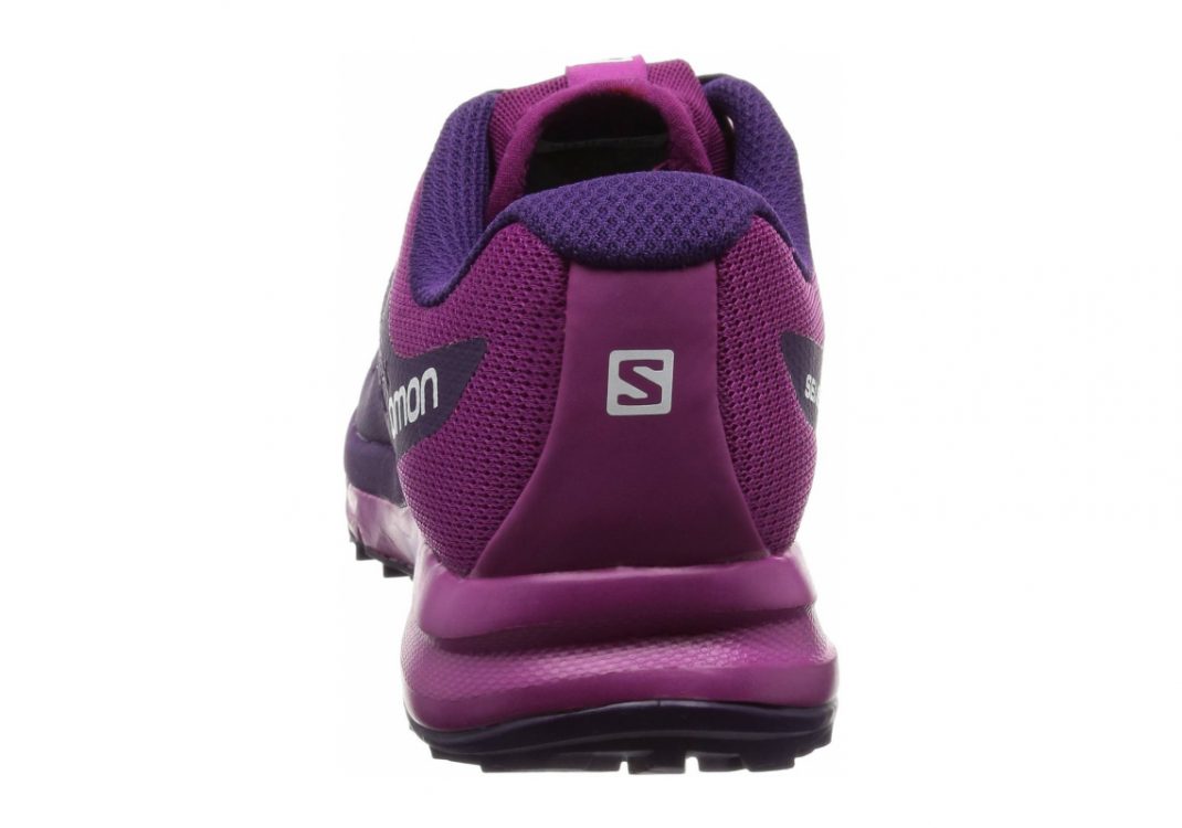 Lila Kosmisch Lila Azalee (L381580)