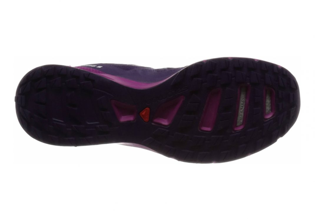 Lila Kosmisch Lila Azalee (L381580)