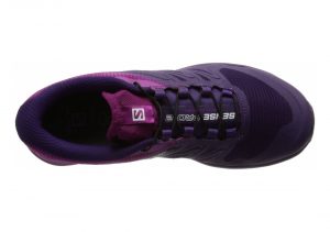 Lila Kosmisch Lila Azalee (L381580)