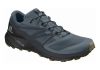 Salomon Sense Ride 2 - Stormy Weather/Ebony/Black (L406739)