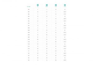 Salomon Sense Ride 2 - Stormy Weather/Ebony/Black (L406739)