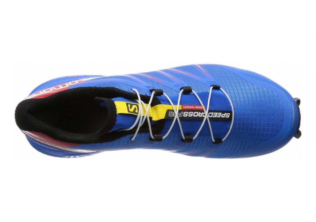 Multicolore Bright Blue Radiant Red Black (L379095)