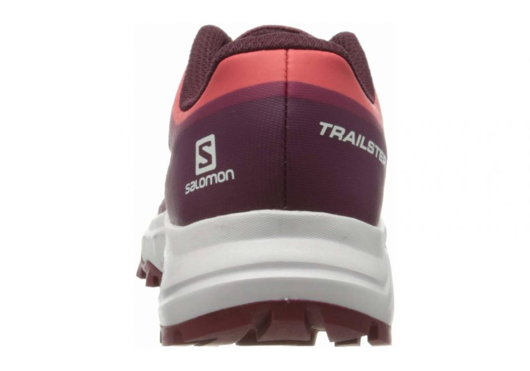 Rhododendron/Wine Bu (L409630)