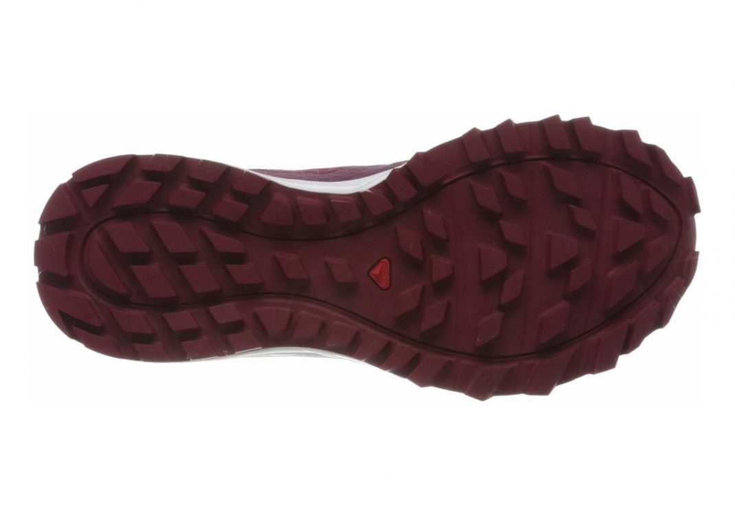 Rhododendron/Wine Bu (L409630)