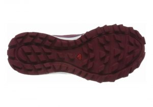 Rhododendron/Wine Bu (L409630)