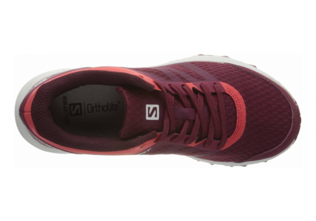 Rhododendron/Wine Bu (L409630)