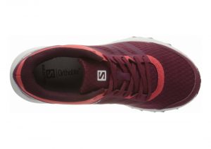 Rhododendron/Wine Bu (L409630)