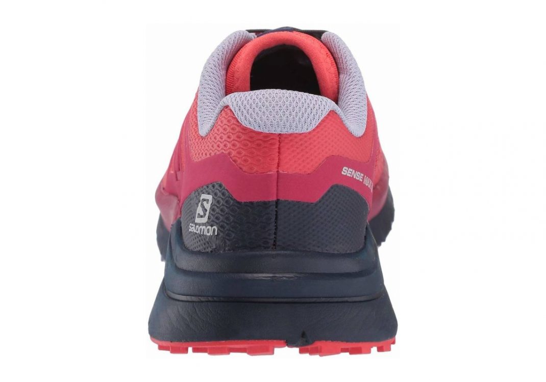 Hibiscus/Evening Blue/Cerise. (L406902)