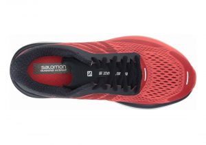 Dubarry/Navy Blazer/White (L406888)