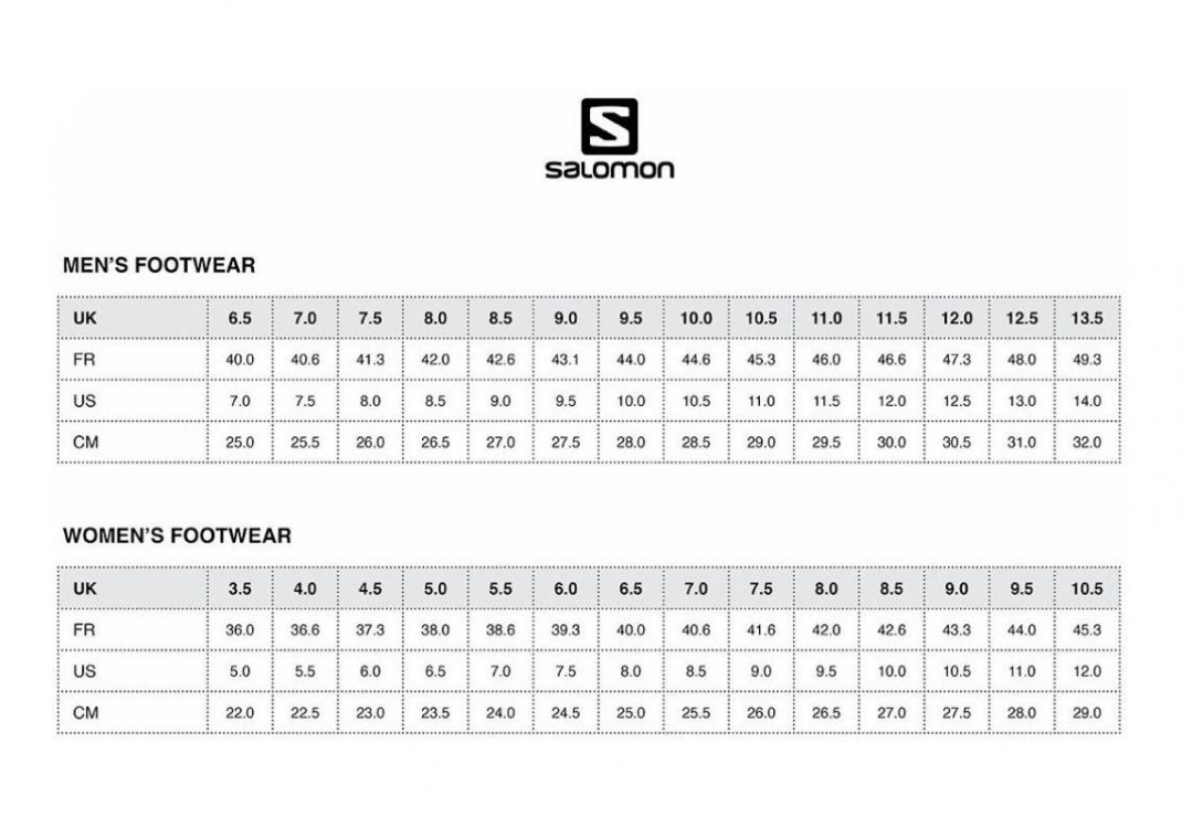 Salomon X Alp Mid LTR GTX - Shadow, Castor Gray, Lime Punch (L394723)