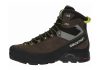 Salomon X Alp MTN GTX - Black Black Beluga Lime Punch 000 (L398402)