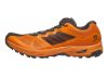 Salomon X Alpine Pro - Orange (L407196)