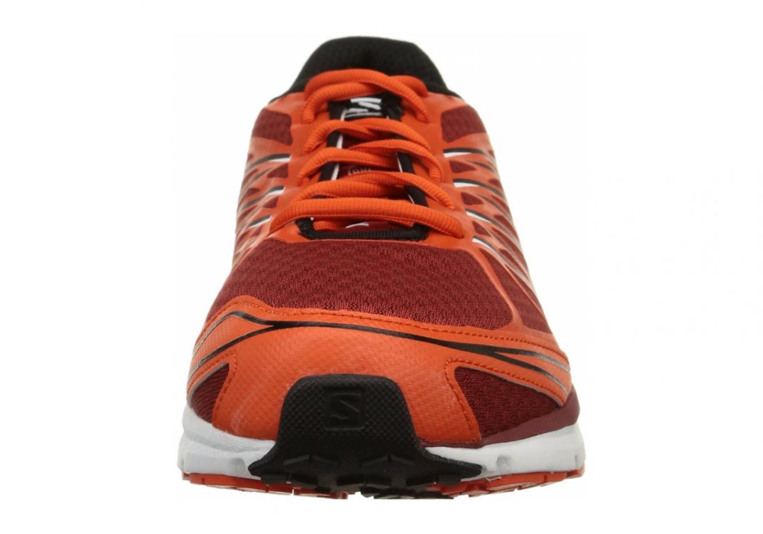 Multicolore Flea Tomato Red Black (L375980)