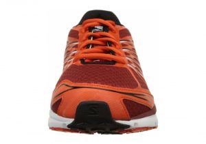 Multicolore Flea Tomato Red Black (L375980)