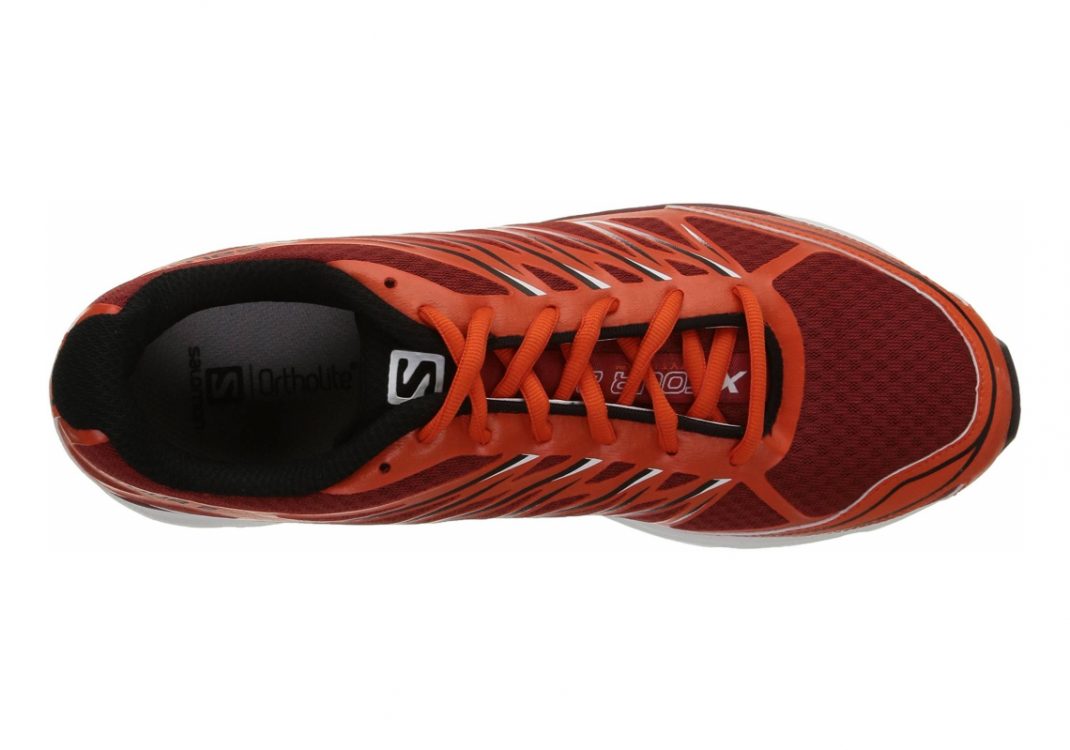 Multicolore Flea Tomato Red Black (L375980)