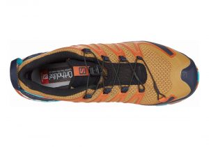 Bistre/Navy Blazer/Bluebird (L409873)