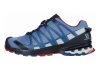 Salomon XA Pro 3D V8 GTX - Flint Stone / Sargasso Sea / Red Dahlia (L409893)