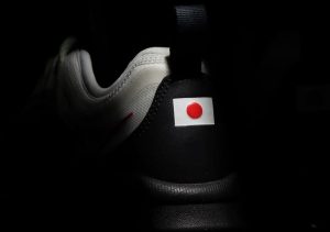 atmos x Nike Air Max ZM950