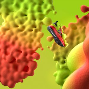 Adidas ZX 2K Boost Solar Yellow/Hi-Vis Red