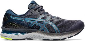 Asics Gel Nimbus 23 Silver
