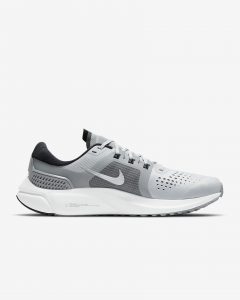 Nike Air Zoom Vomero 15 Iron Grey/Metallic Silver