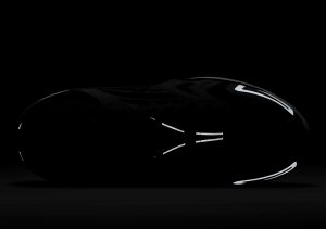 Nike Air VaporMax Evo White/Black