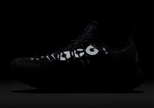 Nike ACG Mountain Fly Low 