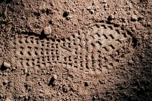 Haven x Nike ACG Mountain Fly Low