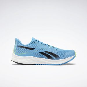 Reebok Floatride Energy 3 Radiant Aqua/Core Black/Neon Mint