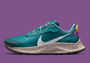 Nike Pegasus Trail 3