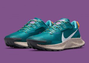 Nike Pegasus Trail 3