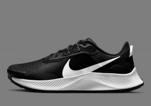 Nike Pegasus Trail 3