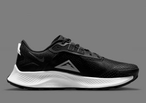 Nike Pegasus Trail 3
