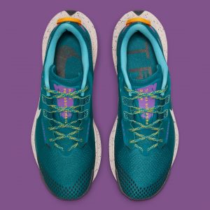 Nike Pegasus Trail 3