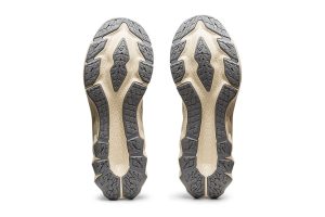 Asics Novablast 2 Smoke Grey/Piedmont Grey