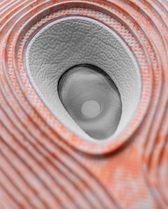 Nike PG 5 Lapis/Blue Void/Crimson Bliss