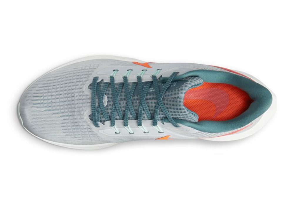 Nike Air Zoom Pegasus 39 Grey