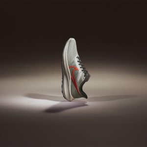 Nike Air Zoom Pegasus 39 Grey