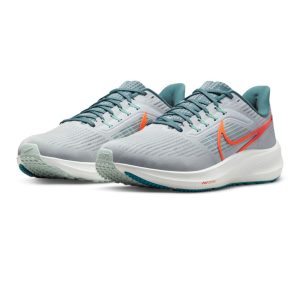 Nike Air Zoom Pegasus 39 Grey