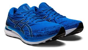 Asics Gel Kayano 29 White/Blue