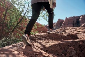 adidas TERREX Free Hiker 2