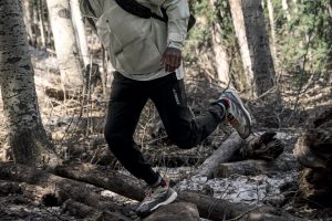 adidas TERREX Free Hiker 2