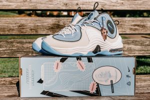 Nike Air Max Penny 2 Playground